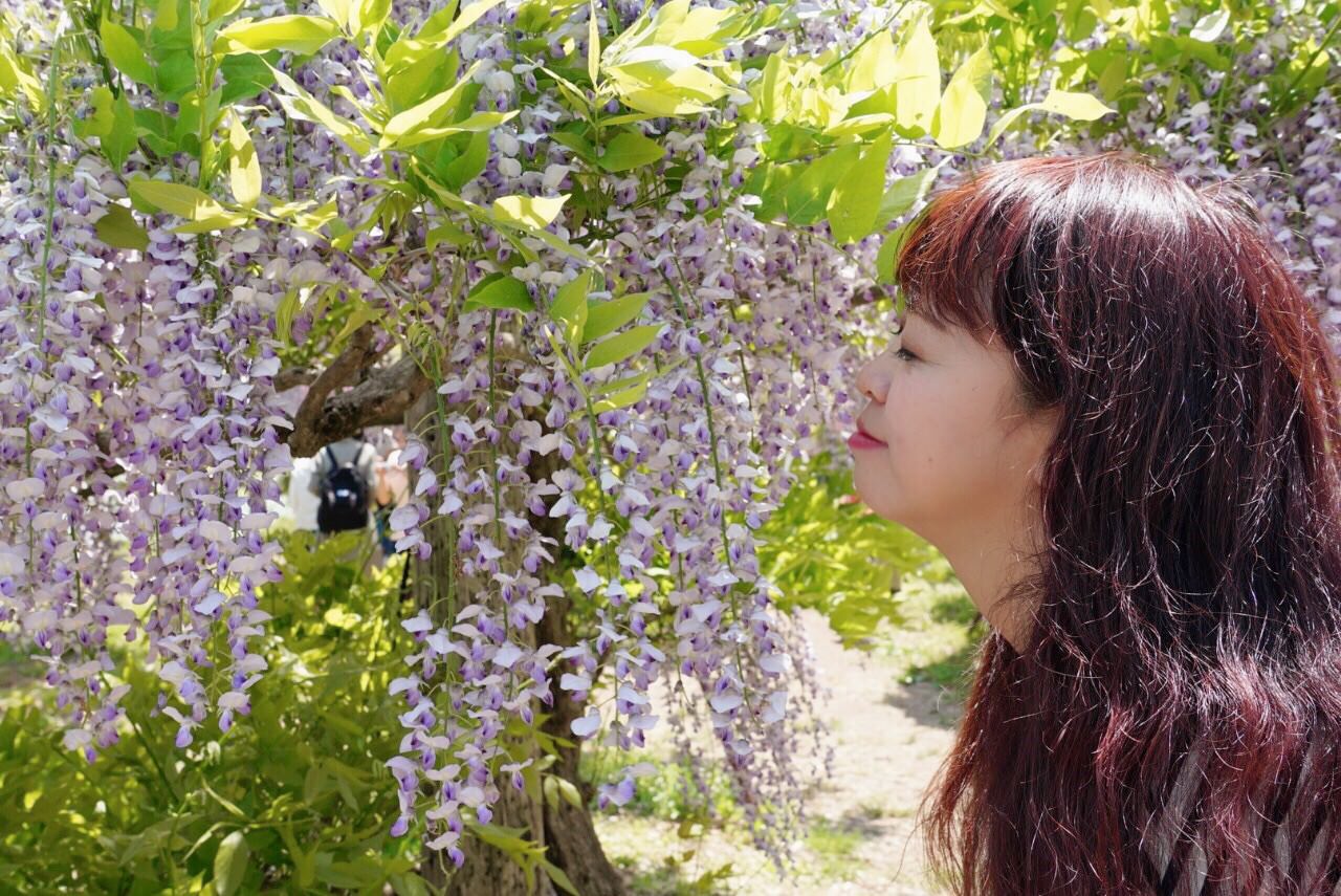 我的美睫日記| New Star日式美睫 自然耐久妝感陪伴我度過旅行的美好時光 - 第1張圖 我的美睫日記| New Star日式美睫 自然耐久妝感陪伴我度過旅行的美好時光