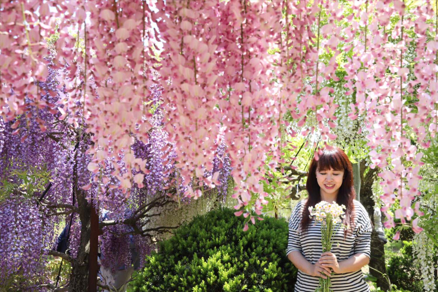 我的美睫日記| New Star日式美睫 自然耐久妝感陪伴我度過旅行的美好時光 - 第3張圖 我的美睫日記| New Star日式美睫 自然耐久妝感陪伴我度過旅行的美好時光