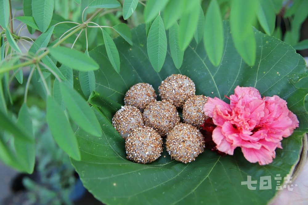 炸成圓球狀的芋見流氓，外層沾裹炸過的油芒。（ 圖．妮可魯）    