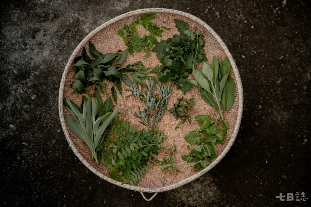 採夏草製酒麴 都蘭地酒釀出百年之味(下) - 第1張圖 每個部落都有自己的藥草配方,作為酒麴的原料|台東部落食尚 提供