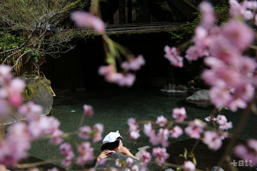 春天櫻花燦爛的黑川溫泉鄉，是日本少數保存混浴文化的地方｜妮可魯 攝