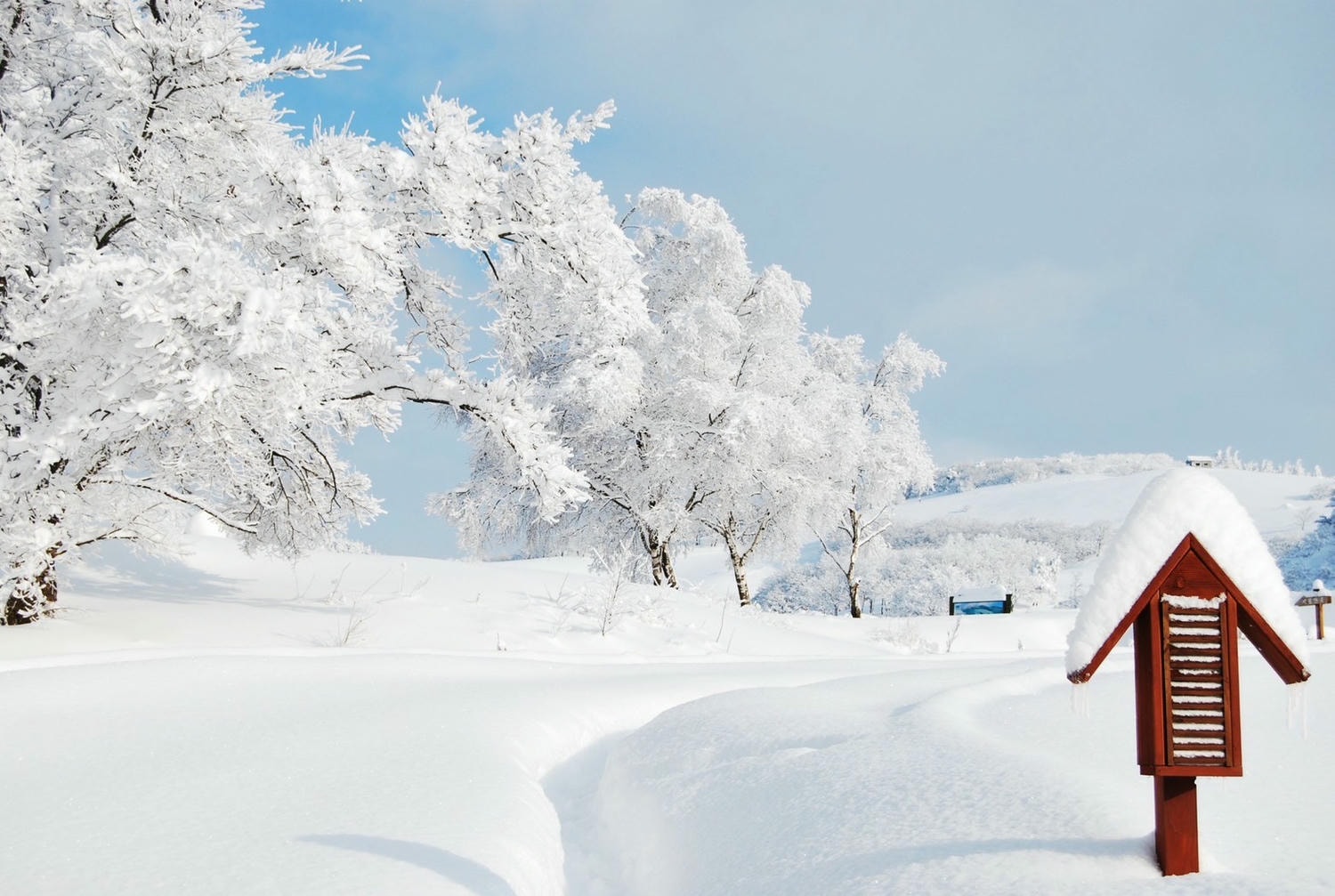 韓國江陵|平昌Alpensia冬奧雪場滑雪去!滑雪教學、韓屋體驗、造訪《鬼怪》拍攝景點~首爾近郊冬季二日遊路線 - 第1張圖