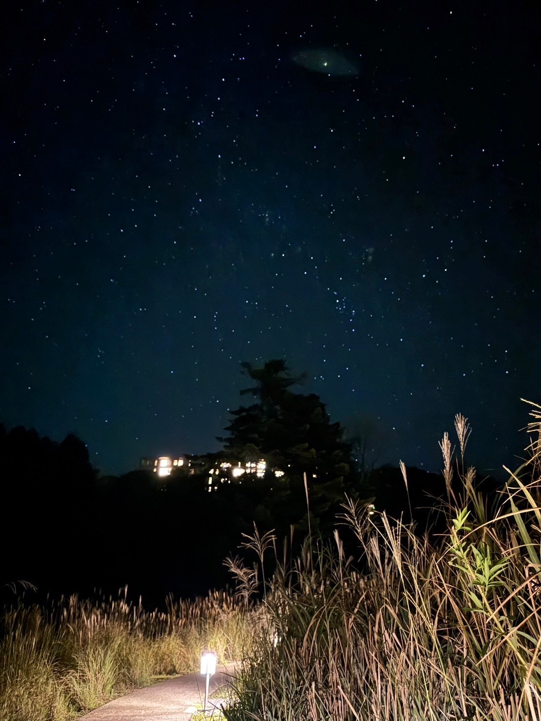 鹿兒島住宿|星野集團「界霧島」 也太美 芒花海、觀星溫泉、燒酎品飲!全客室坐擁櫻島火山美景 - 第21張圖