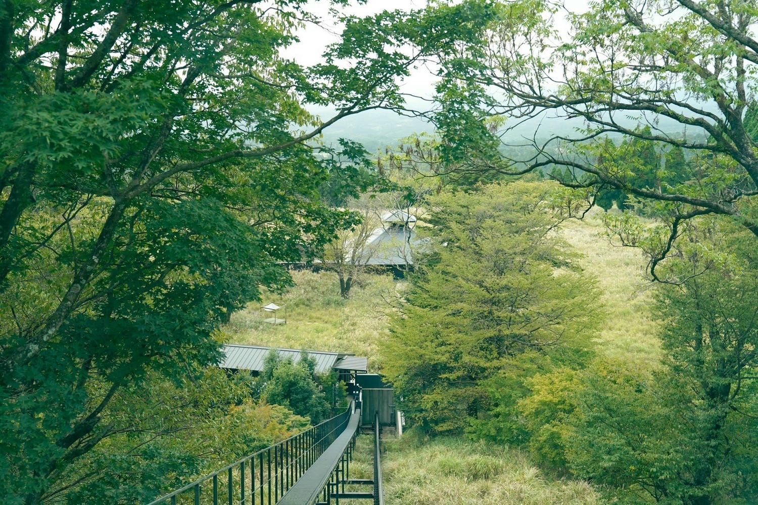 鹿兒島住宿|星野集團「界霧島」 也太美 芒花海、觀星溫泉、燒酎品飲!全客室坐擁櫻島火山美景 - 第14張圖