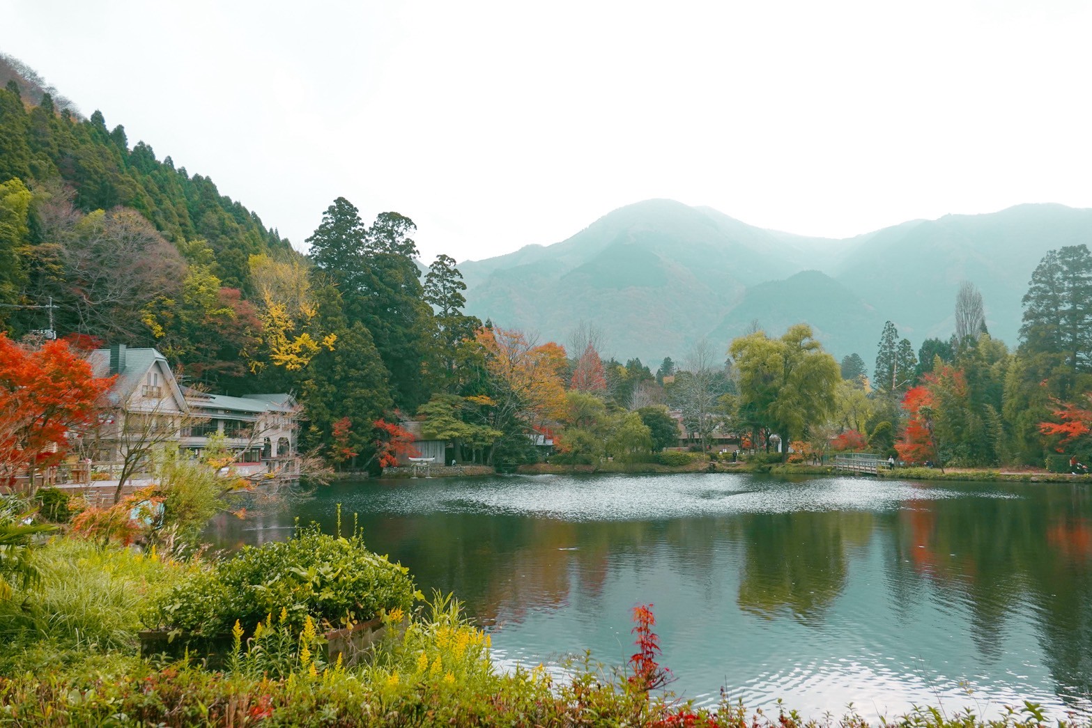 【旅天下】九州好享吃五天四夜|由布院金鱗湖漫步、別府溫泉體驗、福岡自由活動、柳川遊船、在地美食!佐賀、大分雙點進出一路暢玩 - 第61張圖