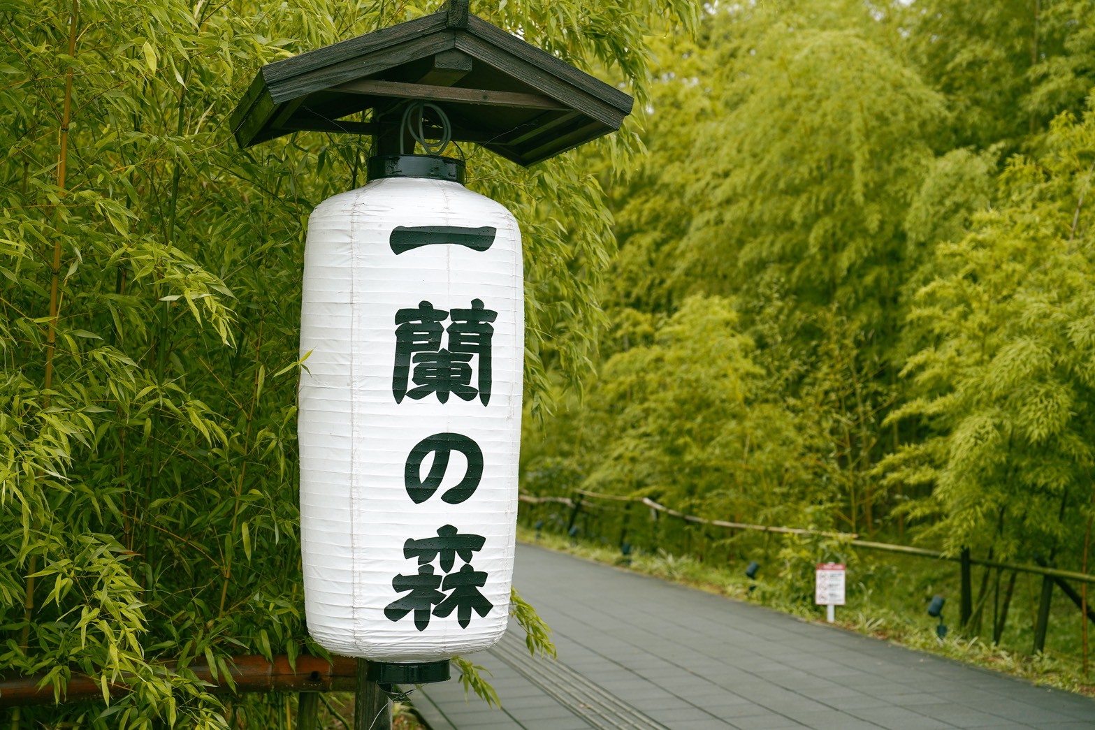 【旅天下】九州好享吃五天四夜|由布院金鱗湖漫步、別府溫泉體驗、福岡自由活動、柳川遊船、在地美食!佐賀、大分雙點進出一路暢玩 - 第6張圖