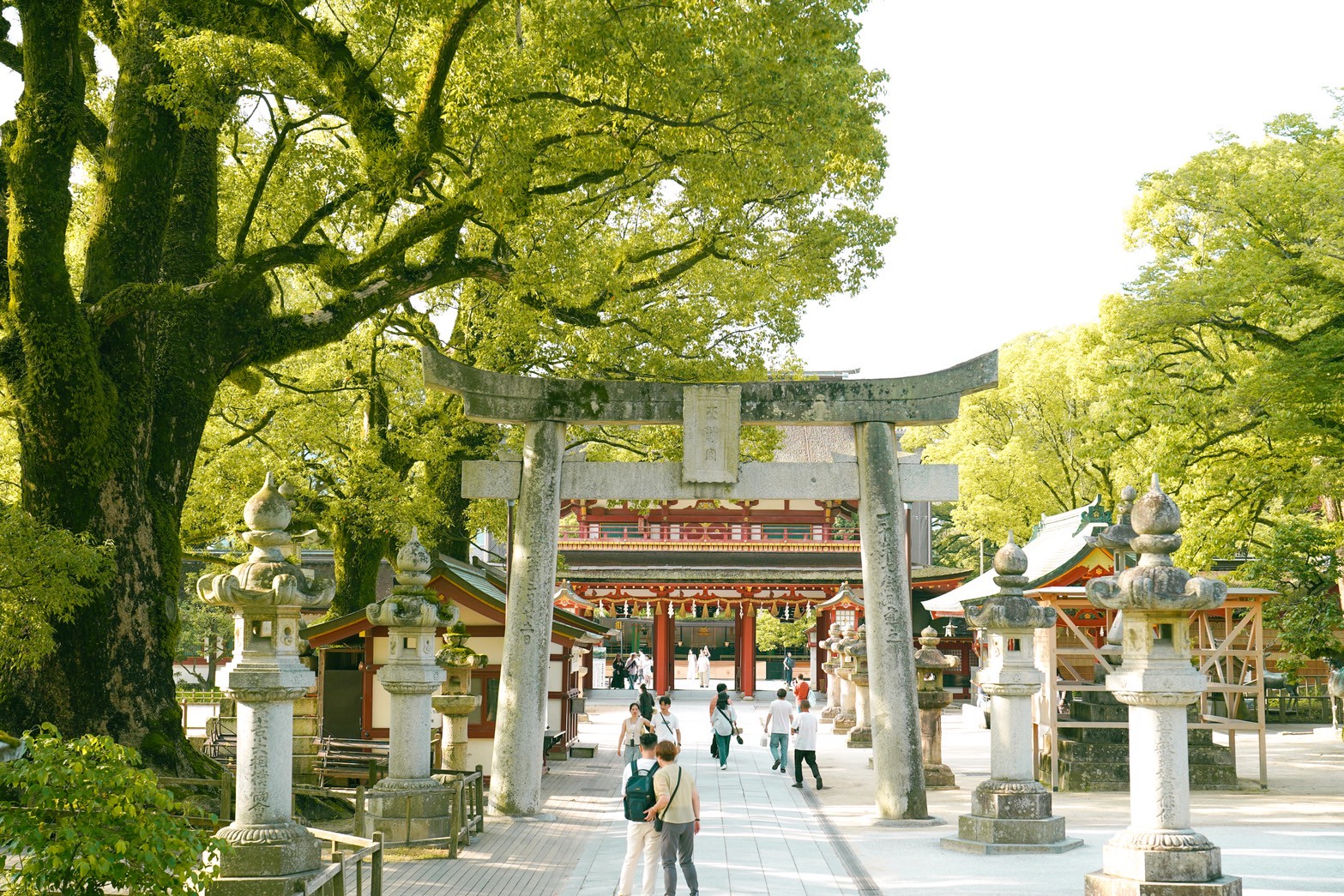【旅天下】九州好享吃五天四夜|由布院金鱗湖漫步、別府溫泉體驗、福岡自由活動、柳川遊船、在地美食!佐賀、大分雙點進出一路暢玩 - 第35張圖
