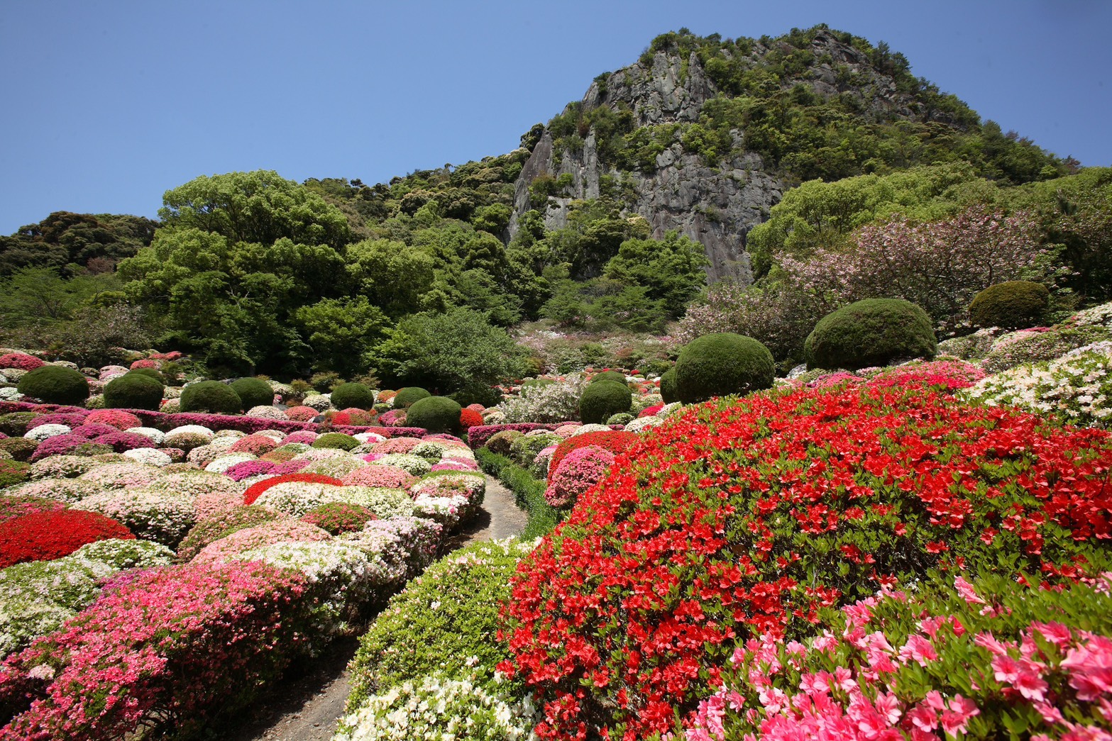【旅天下】九州|漫遊佐賀 「御船山樂園」 細雨中賞繡球花、佐賀新大谷飯店午茶!在地美食鮮魚料理 - 第1張圖