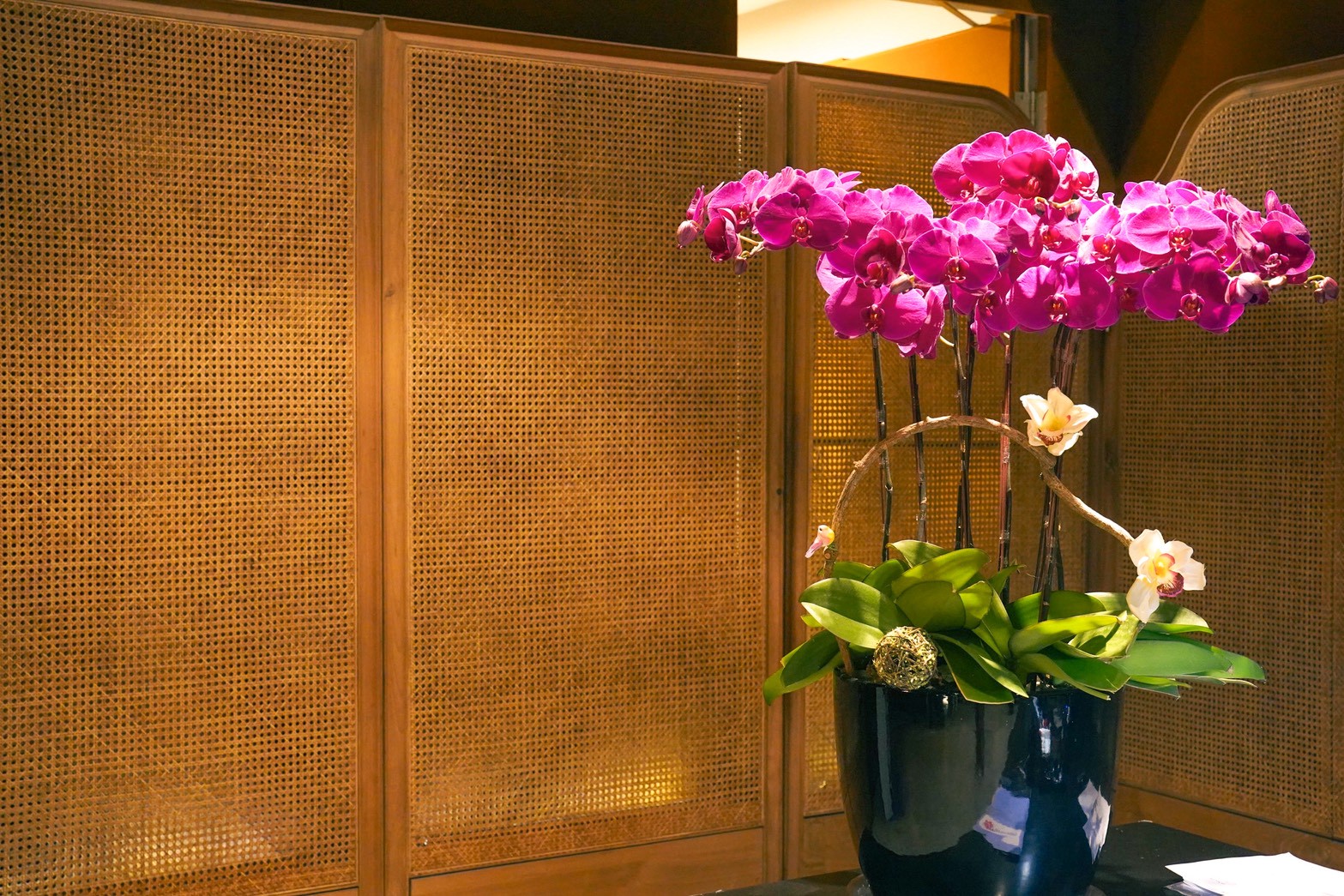 中華航空|開箱中華航空第一航廈貴賓室 「三寶」牛肉麵、茶葉蛋、地瓜必吃 - 第2張圖 中華航空|開箱中華航空第一航廈貴賓室 「三寶」牛肉麵、茶葉蛋、地瓜必吃